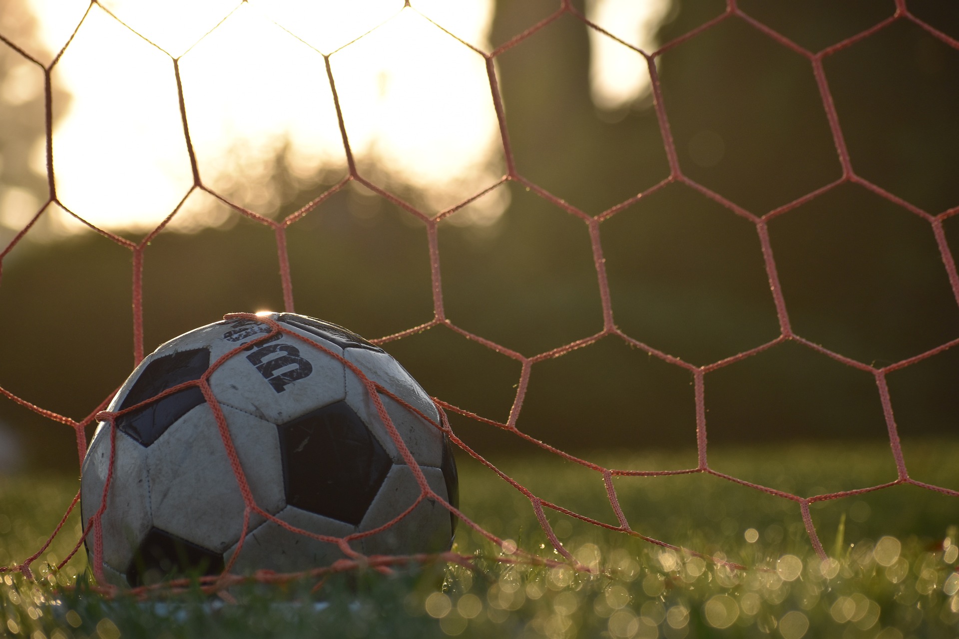 allgyerdaniel-soccer-5506110_1920